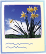Media\analog-image.gif